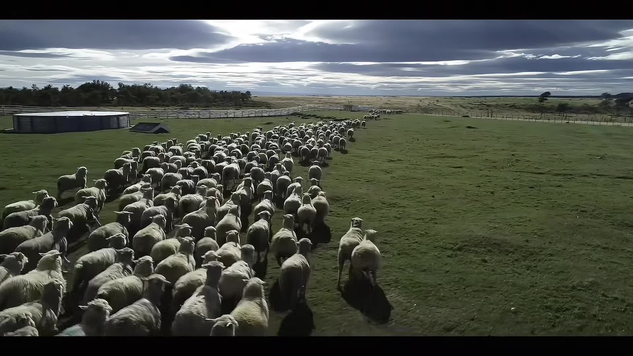 Vídeo hecho por el alojamiento