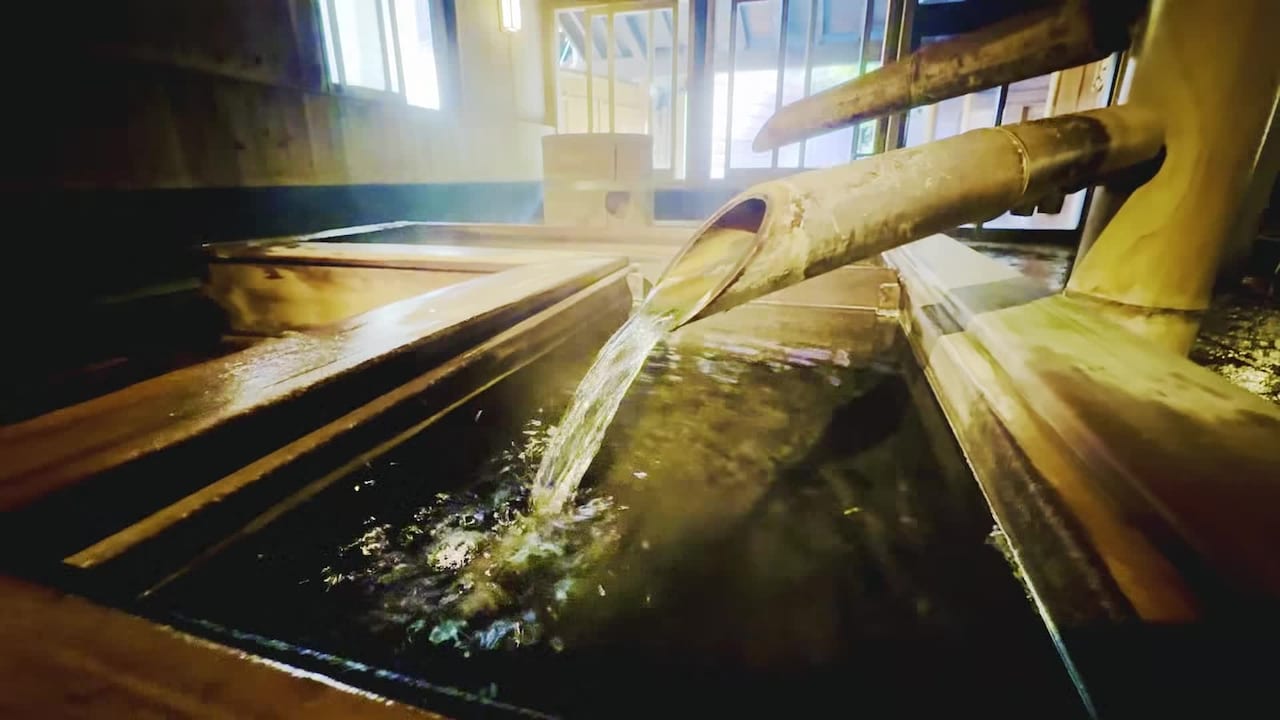 Video realizado por la propiedad