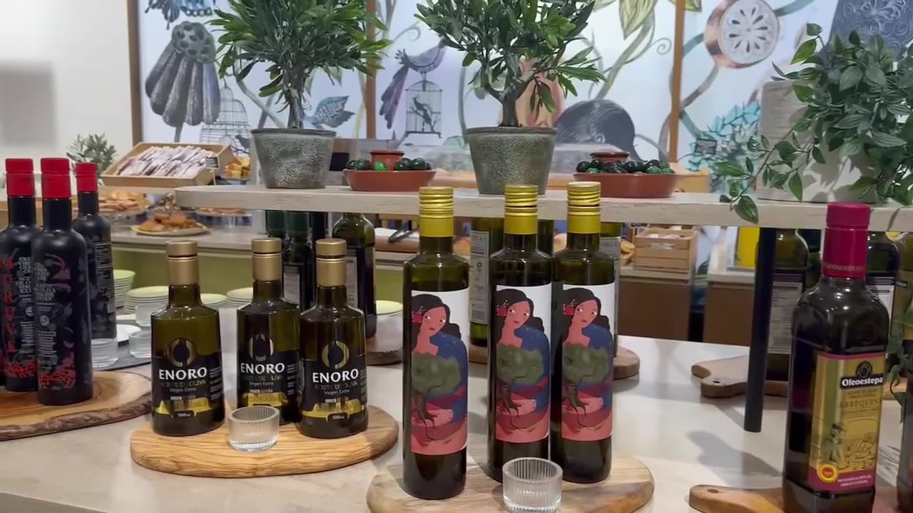 Video realizado por la propiedad
