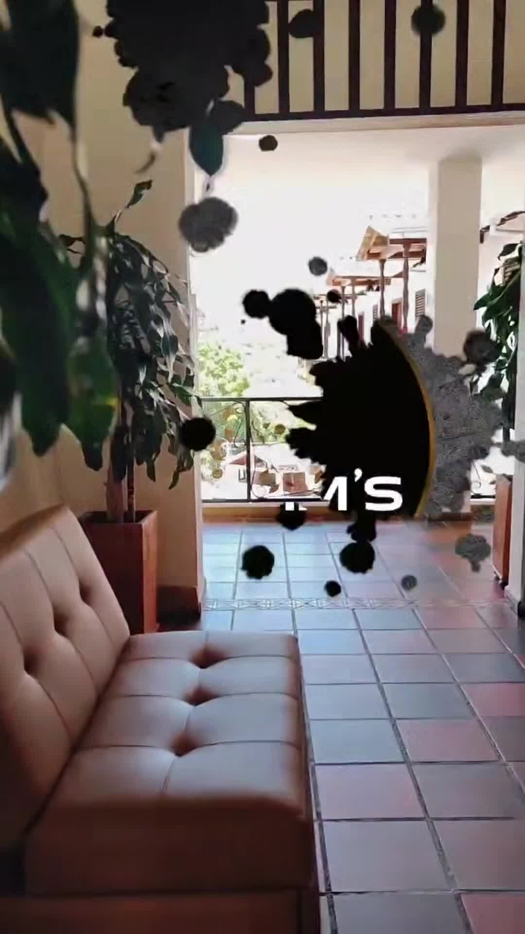 Vídeo da propriedade