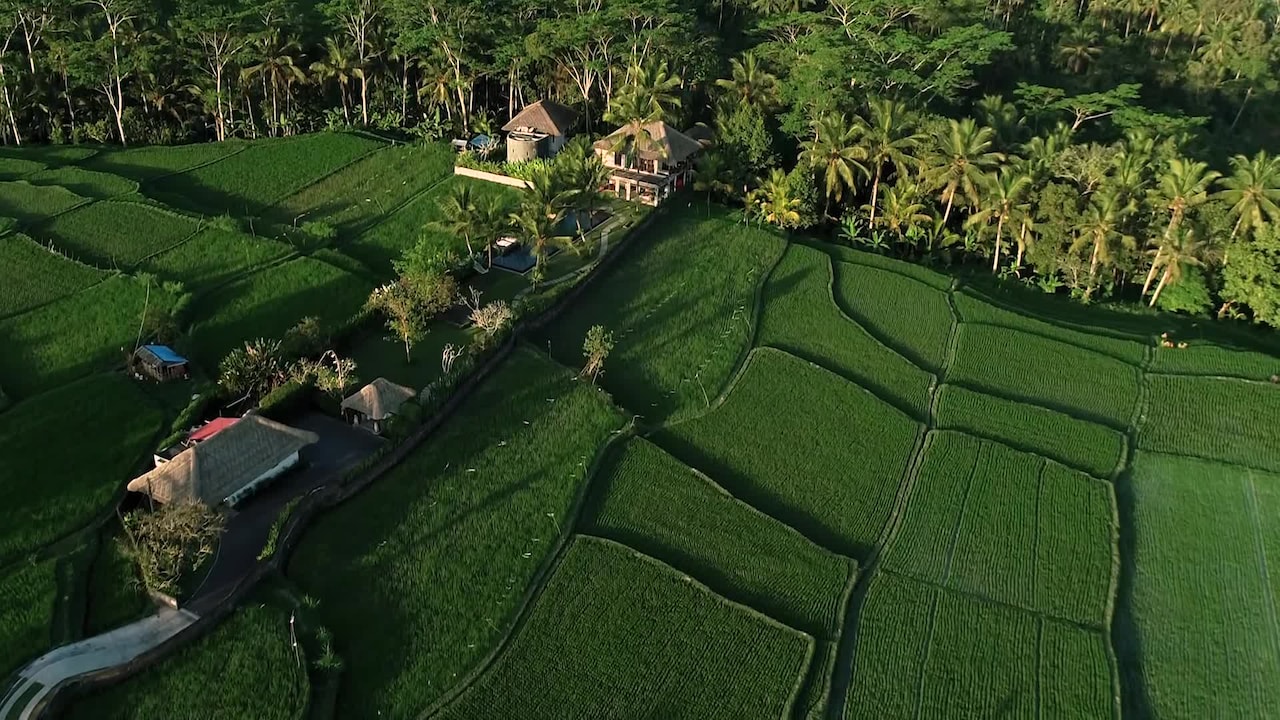 Property video