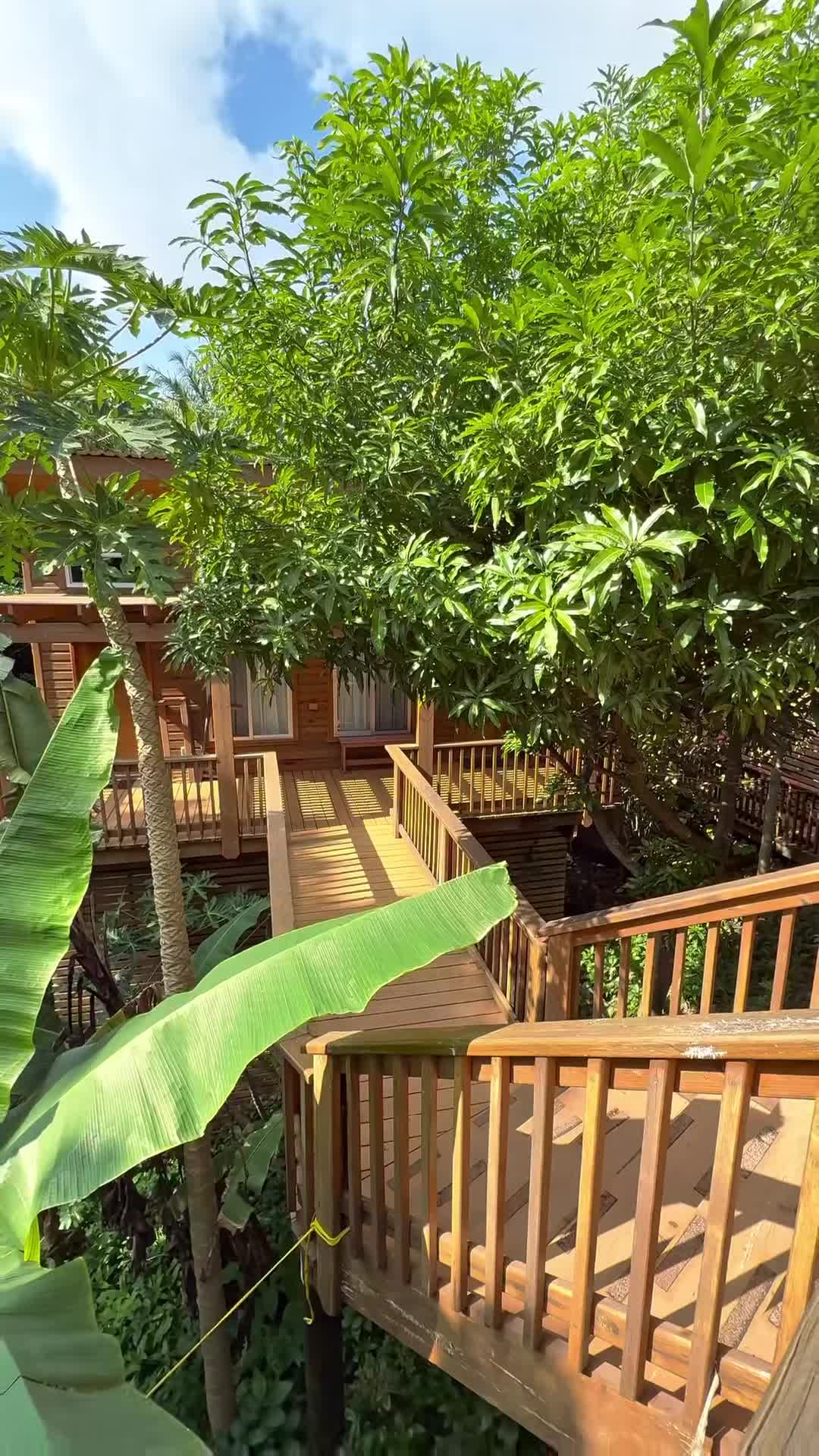 فيديو المنشأة الفندقية