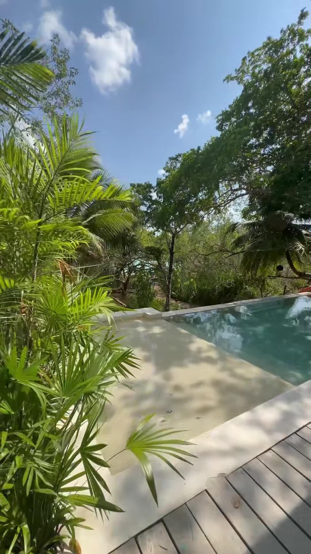 فيديو المنشأة الفندقية