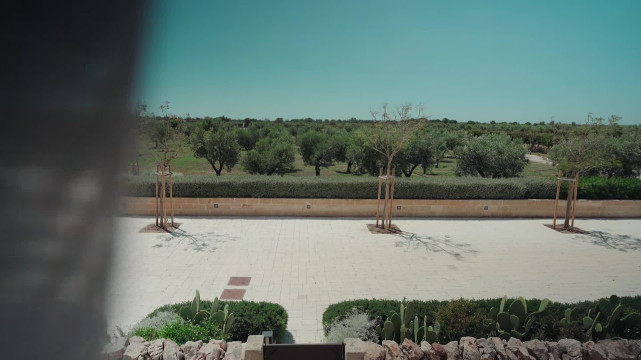 Property video