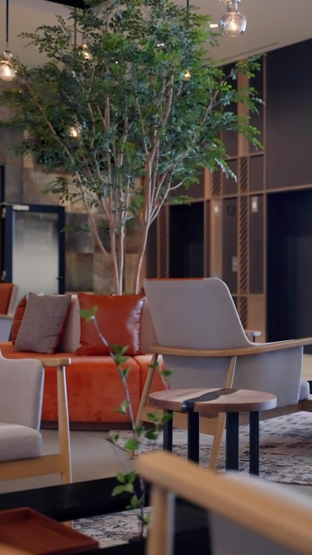 Property video