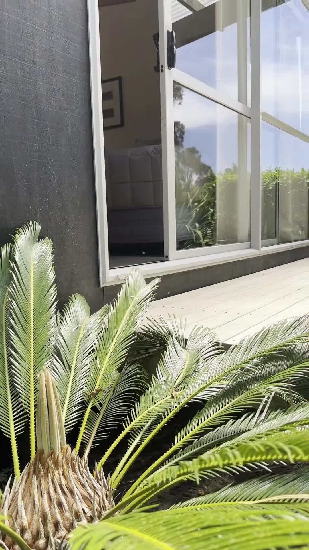 Video der Unterkunft