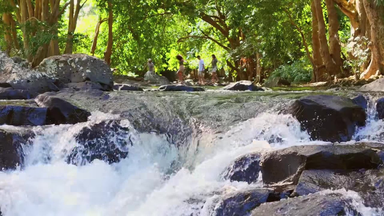 Video realizado por la propiedad