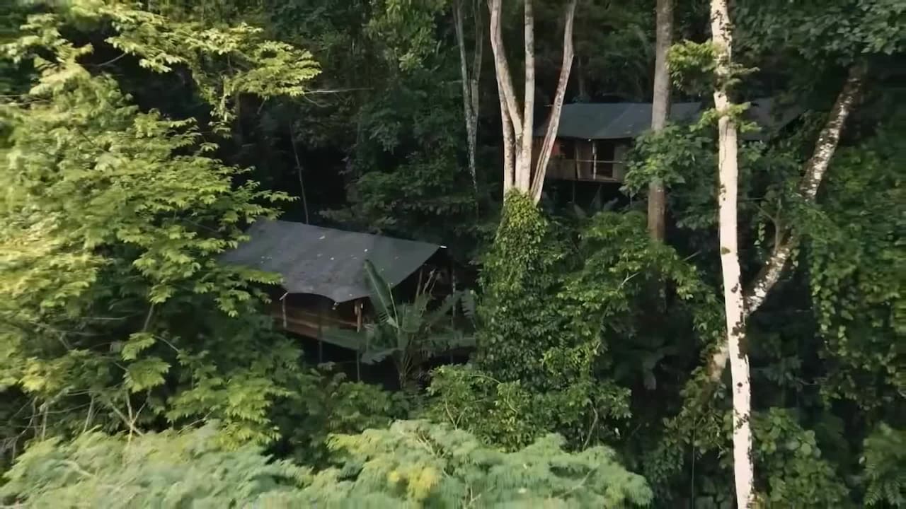 Video der Unterkunft