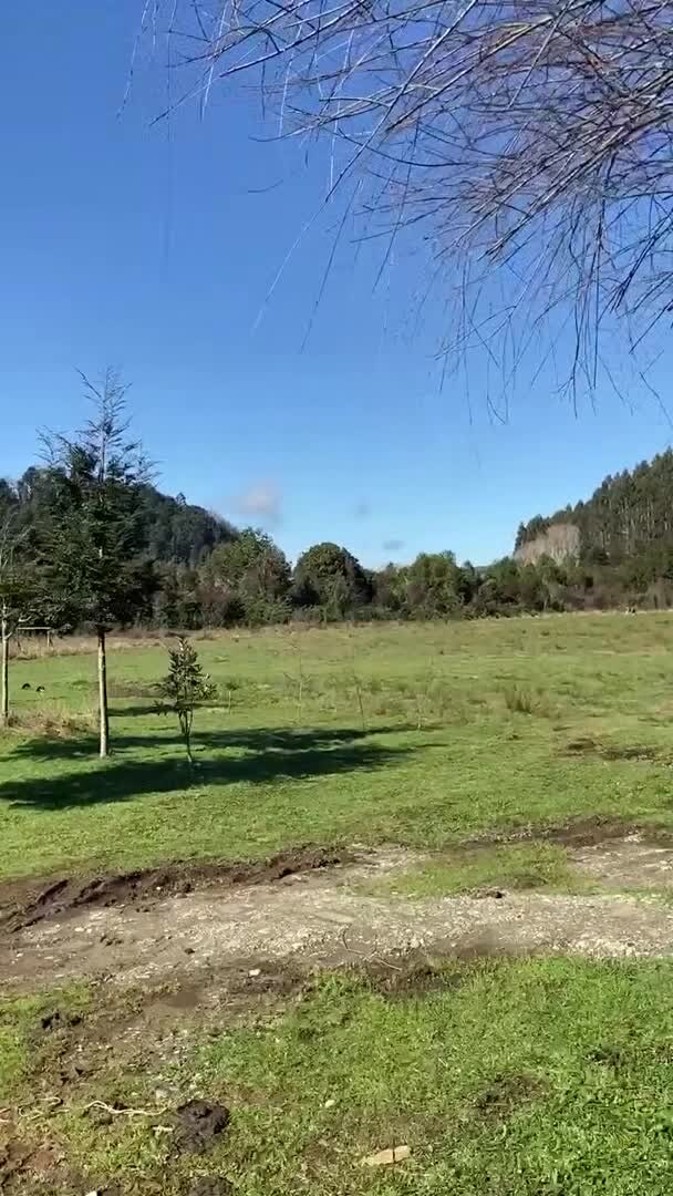宿泊施設による動画