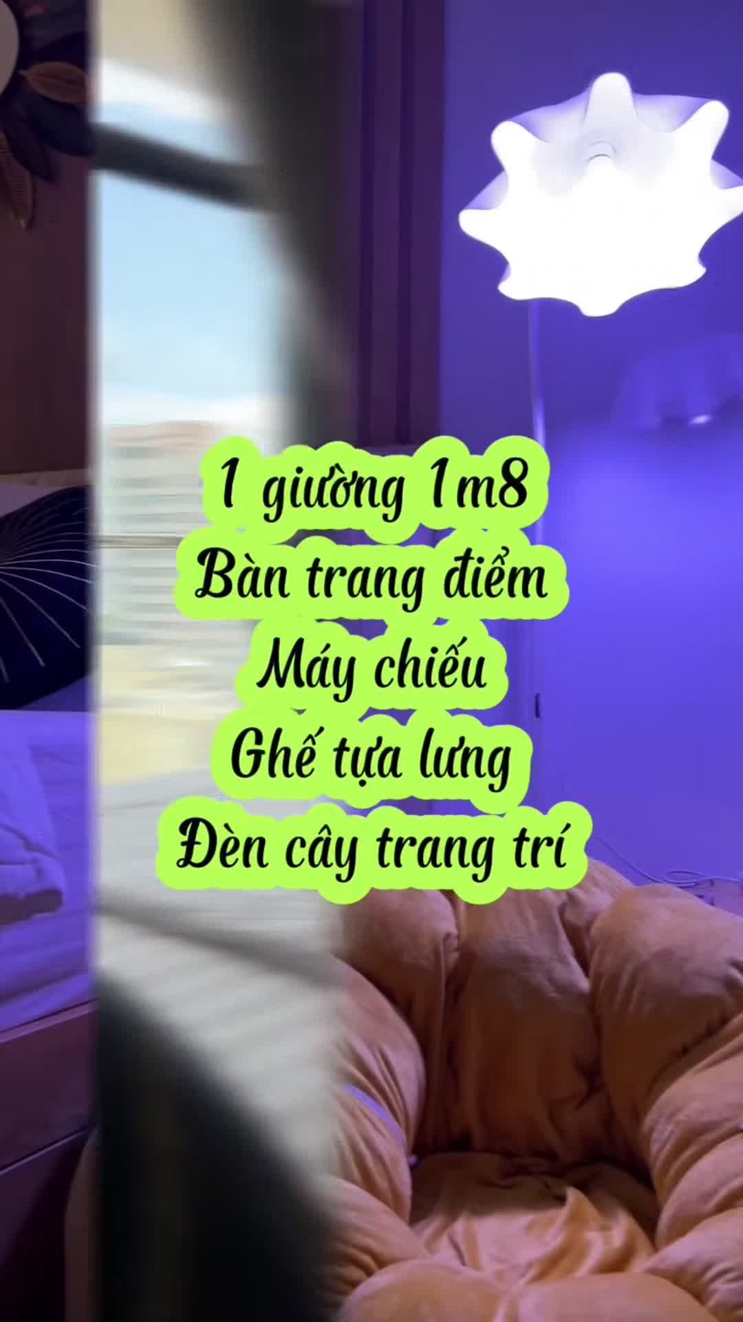 Property video