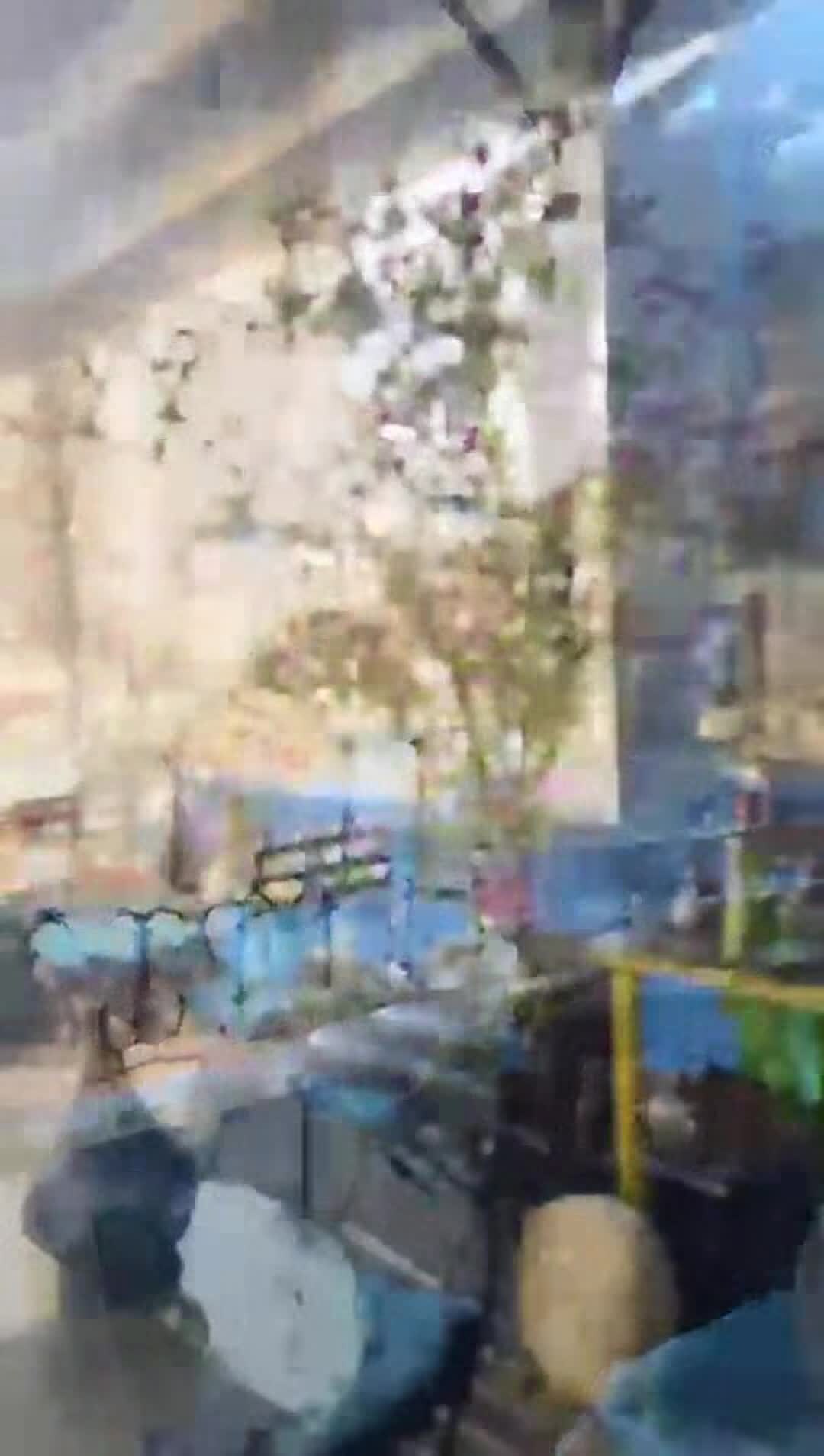 Video realizado por la propiedad