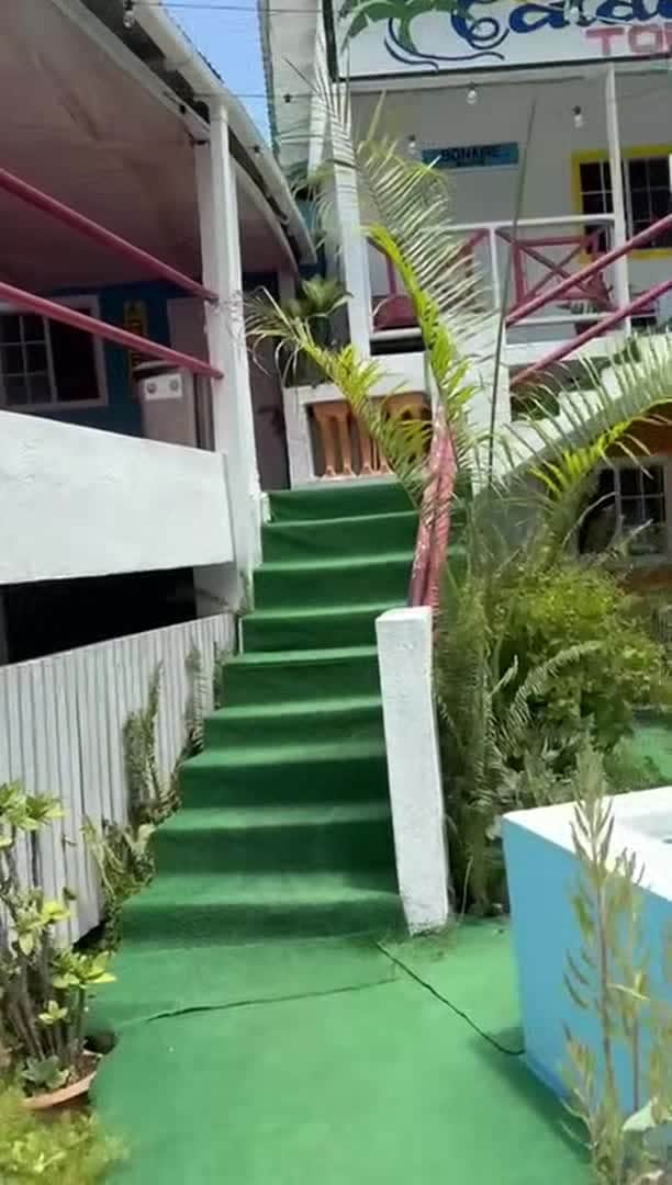 Property video