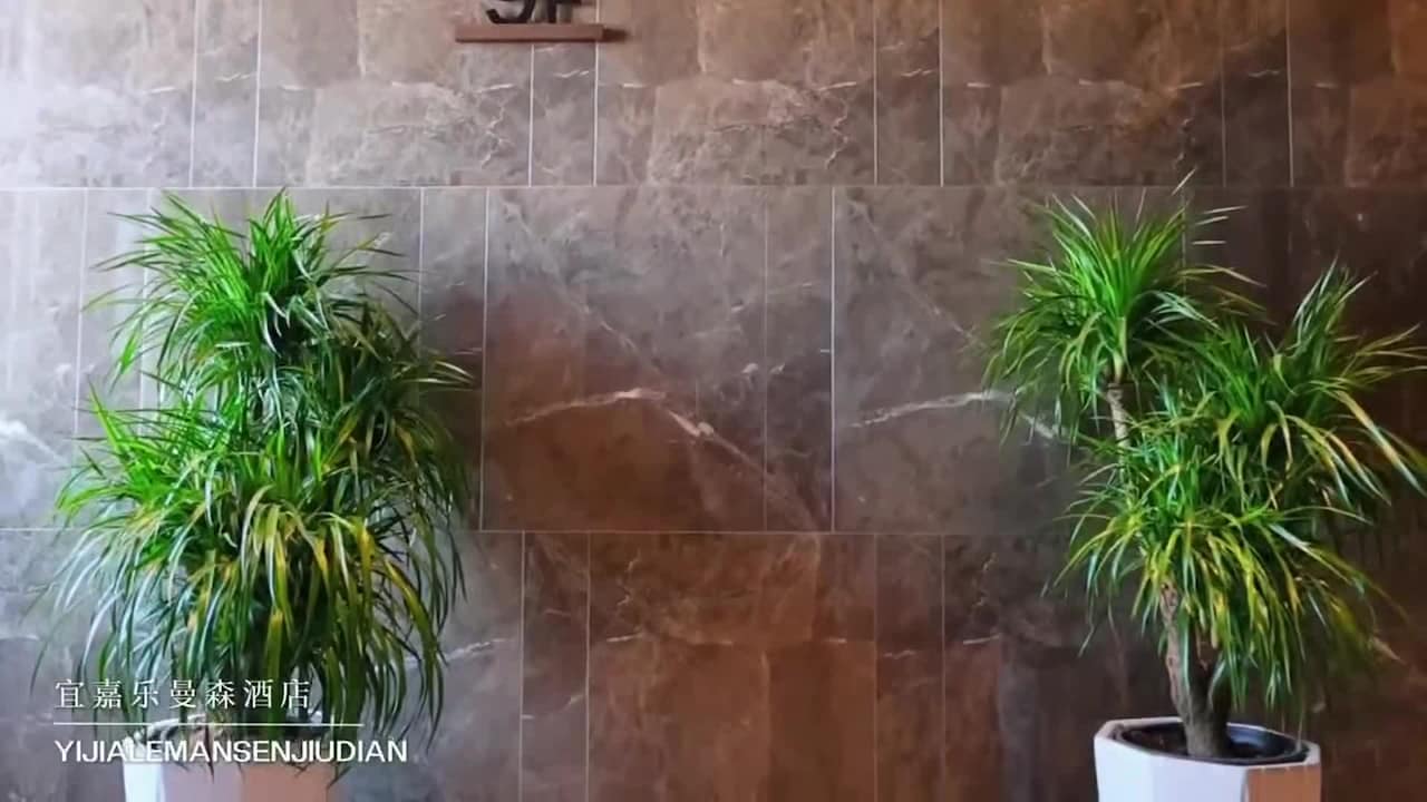 Property video