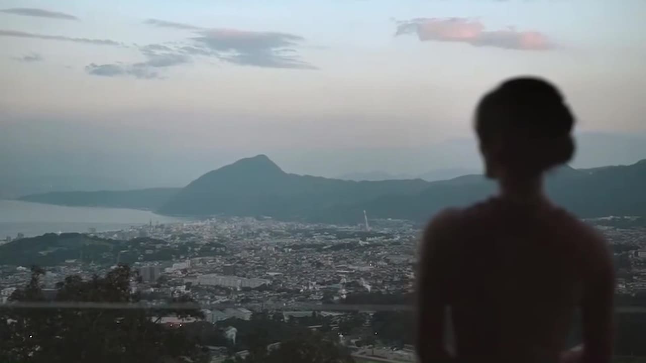 Video realizado por la propiedad