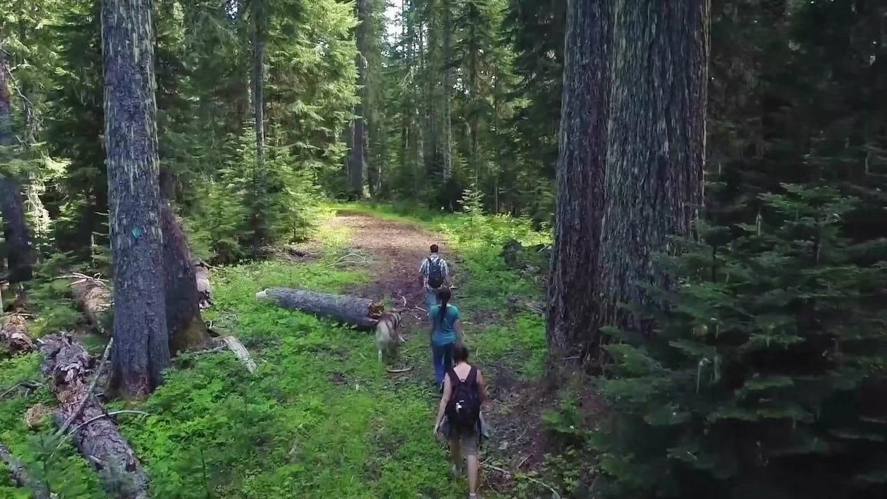 Property video