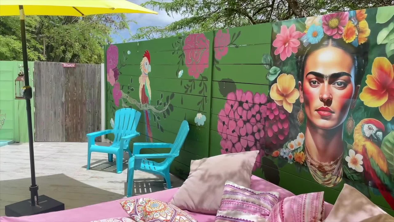 Property video