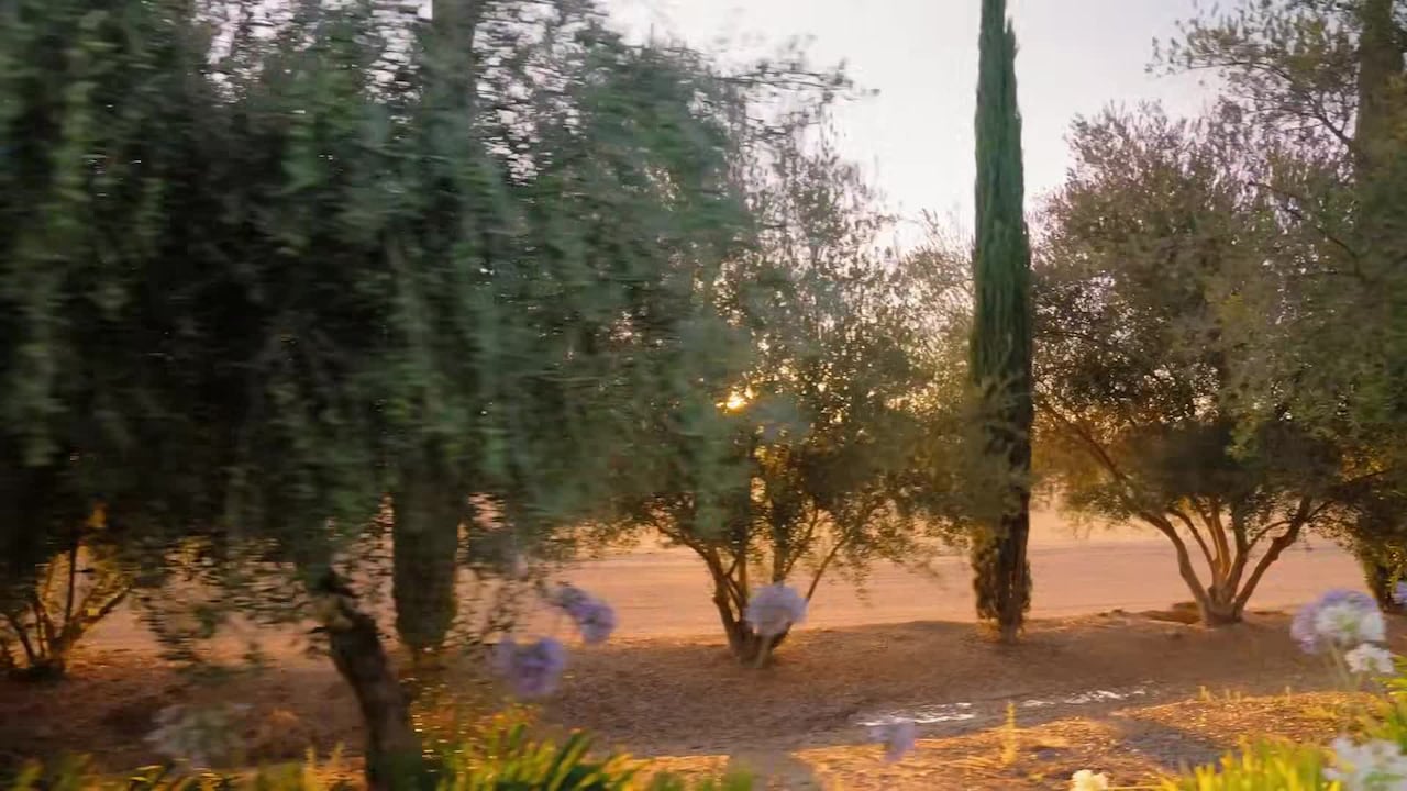Property video