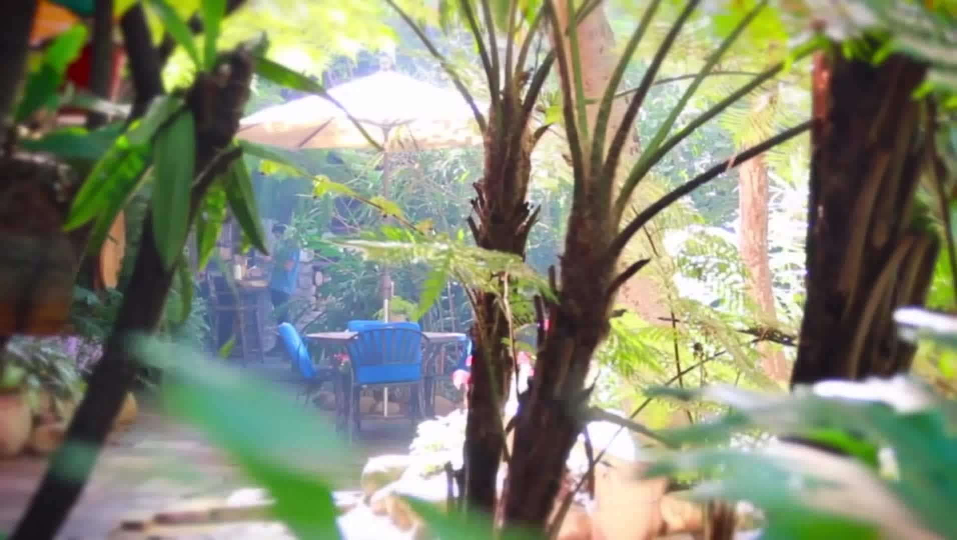 فيديو المنشأة الفندقية