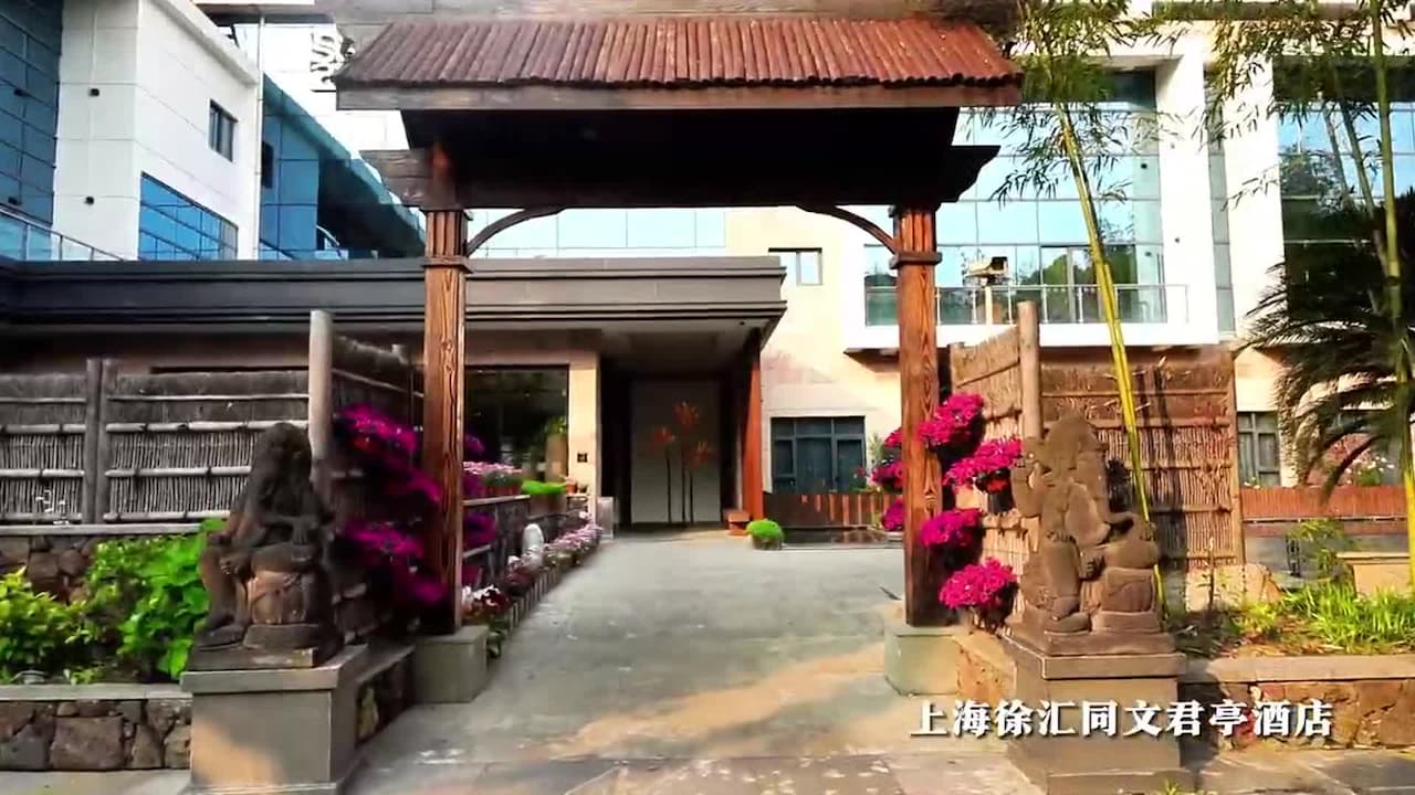 Property video