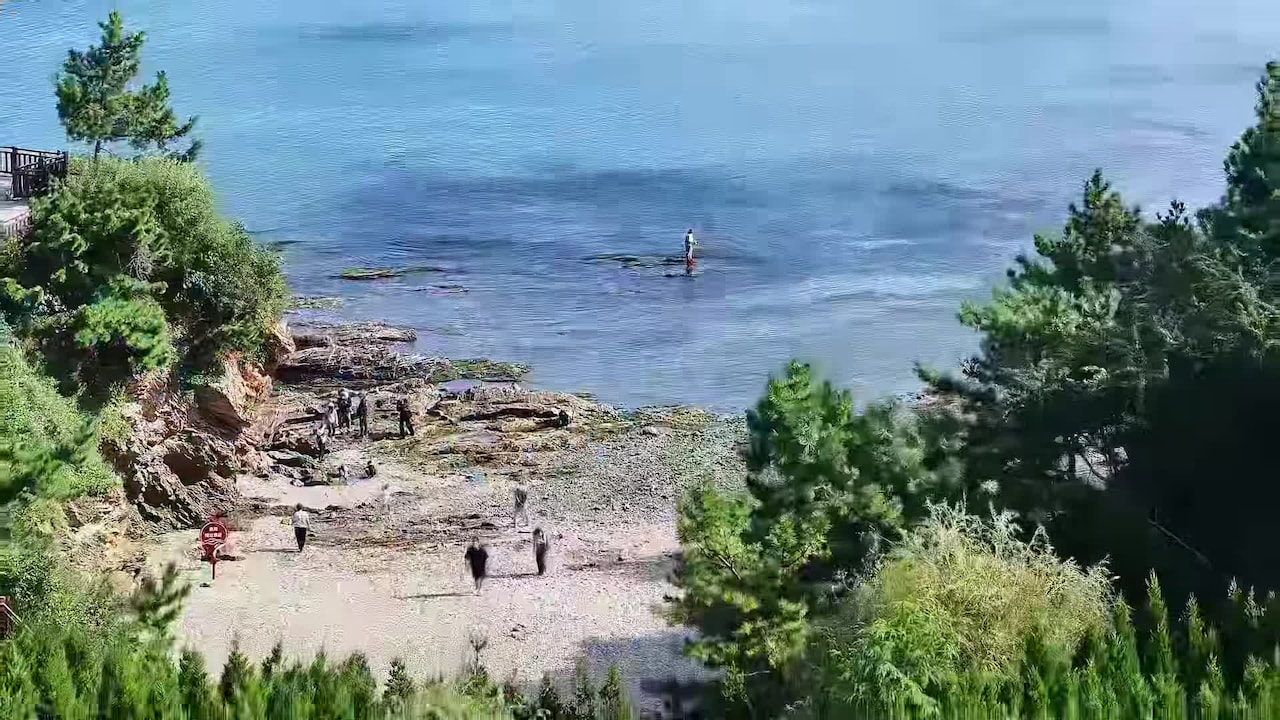 Property video