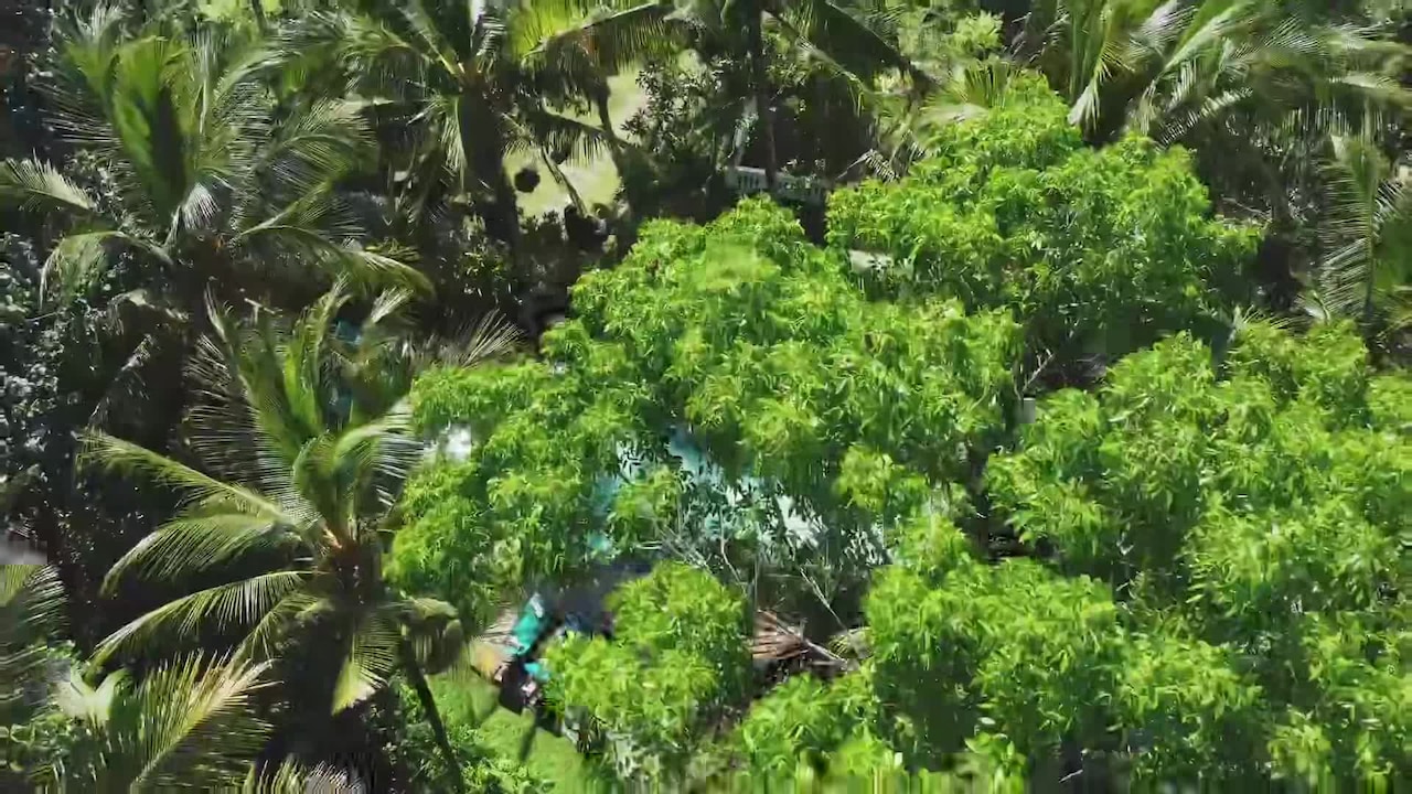 Vidéo de l’hébergement