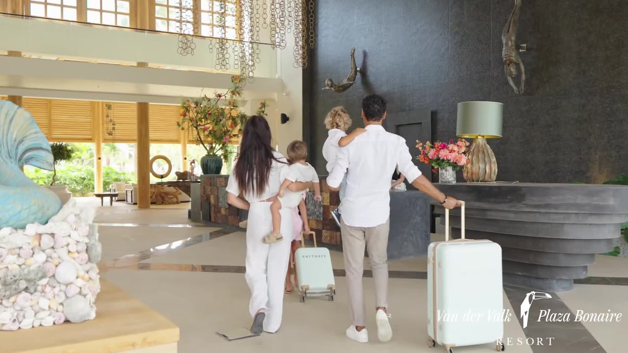 Property video