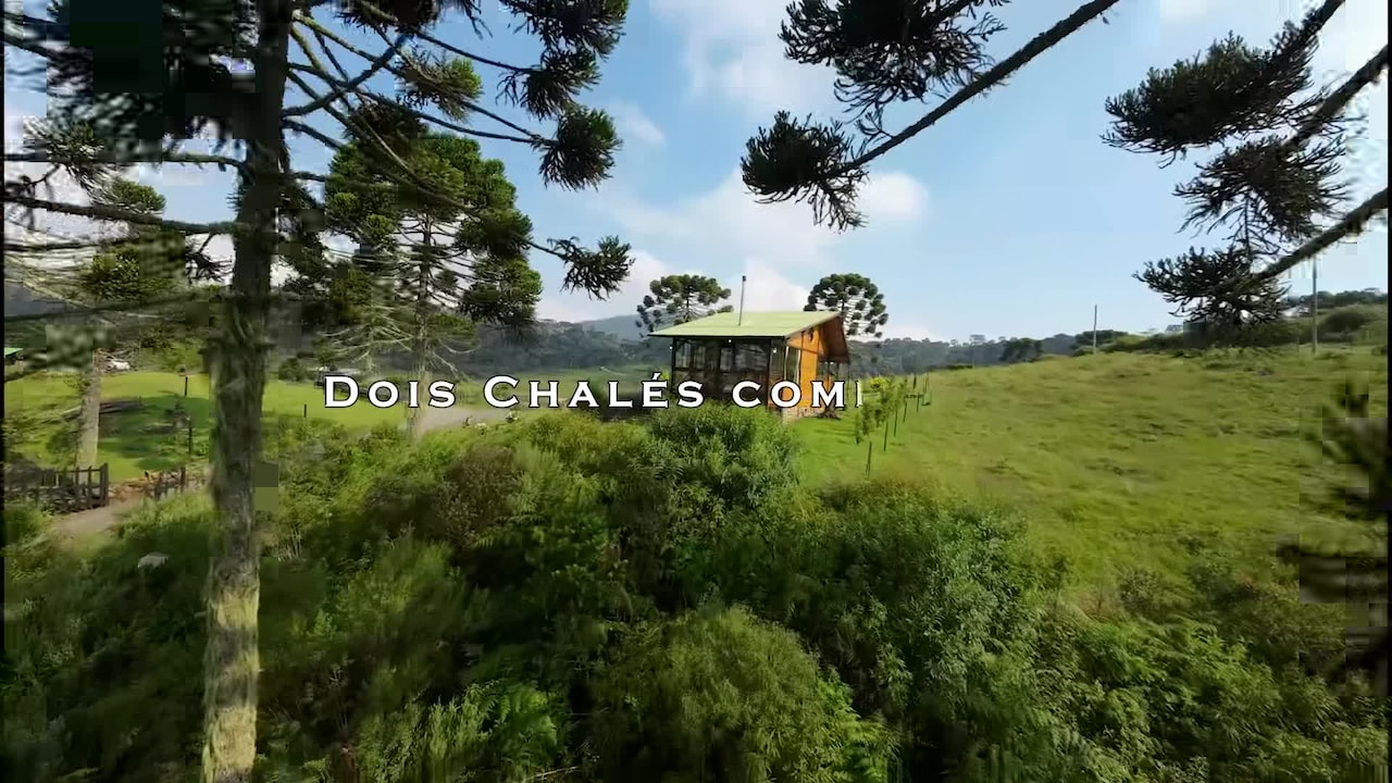 Video realizado por la propiedad