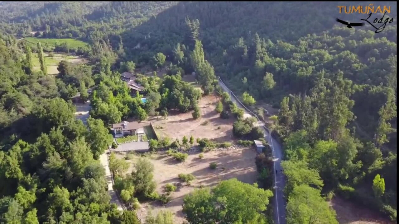 Property video