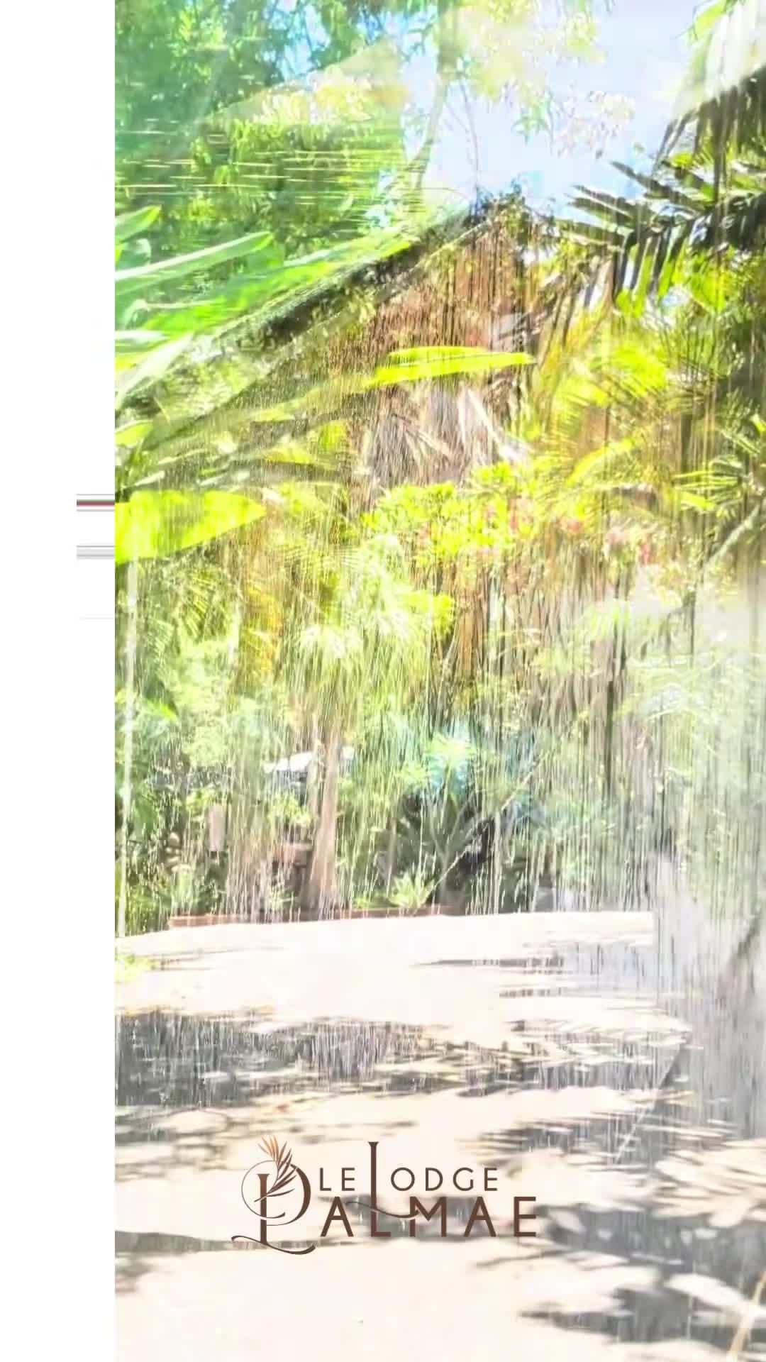 Video realizado por la propiedad
