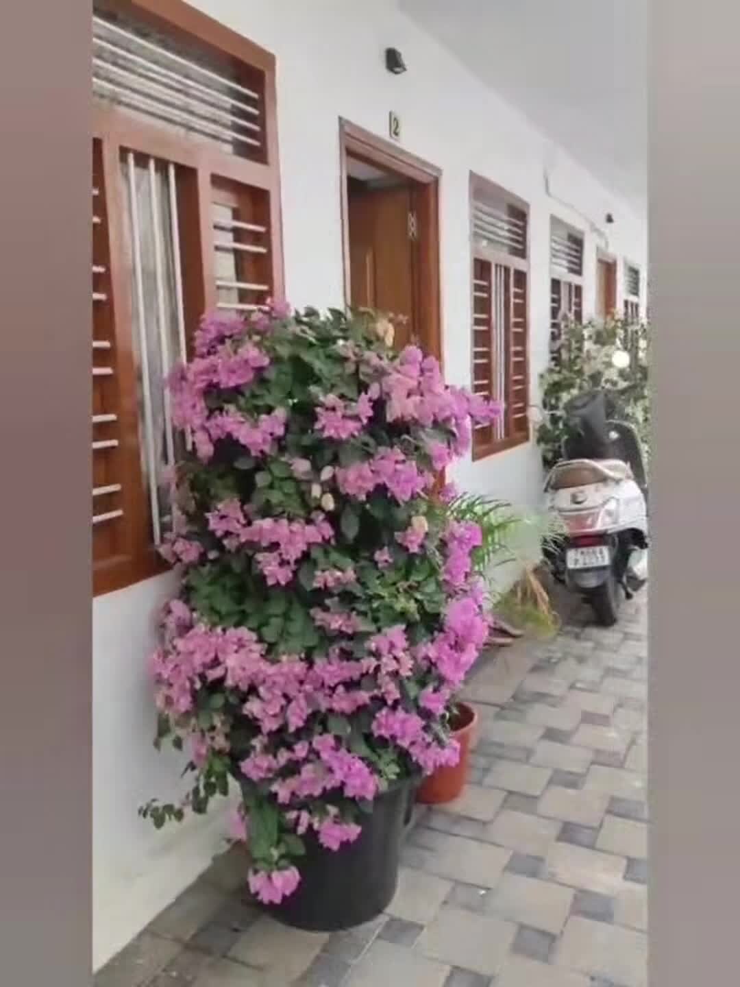 Video der Unterkunft