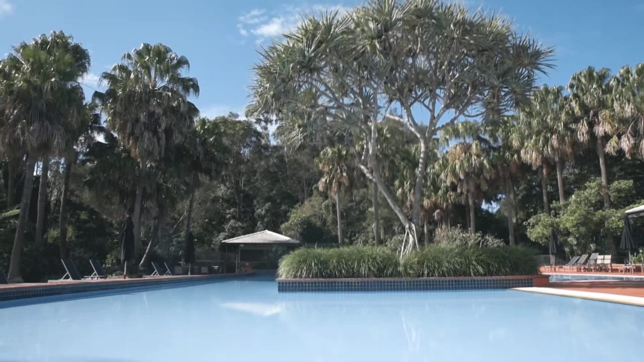 Video realizado por la propiedad