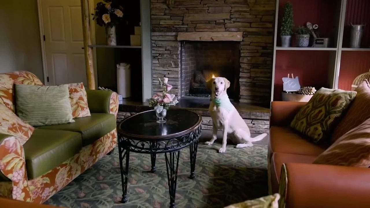 Property video