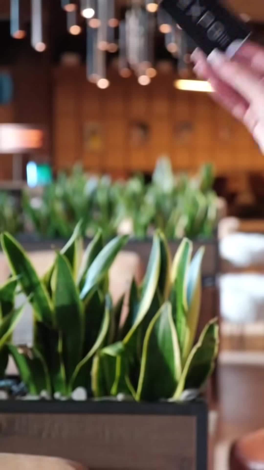 Video realizado por la propiedad