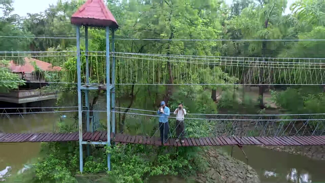 Property video
