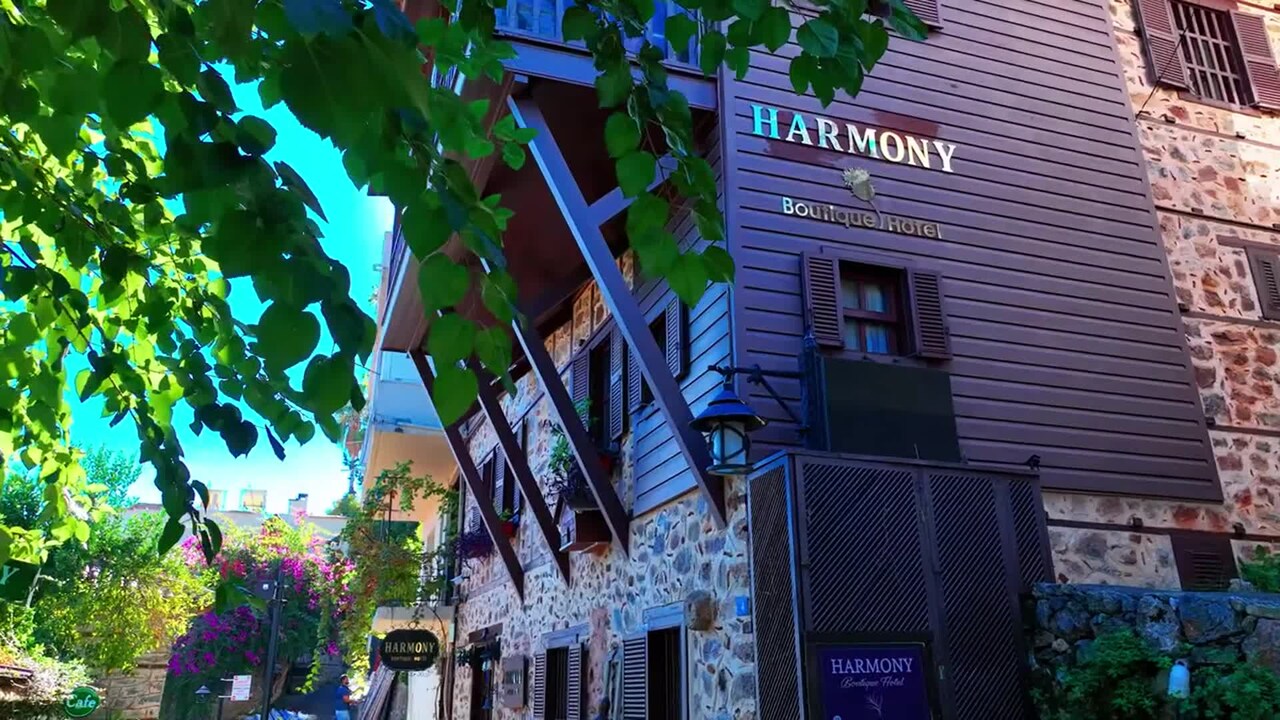 Property video