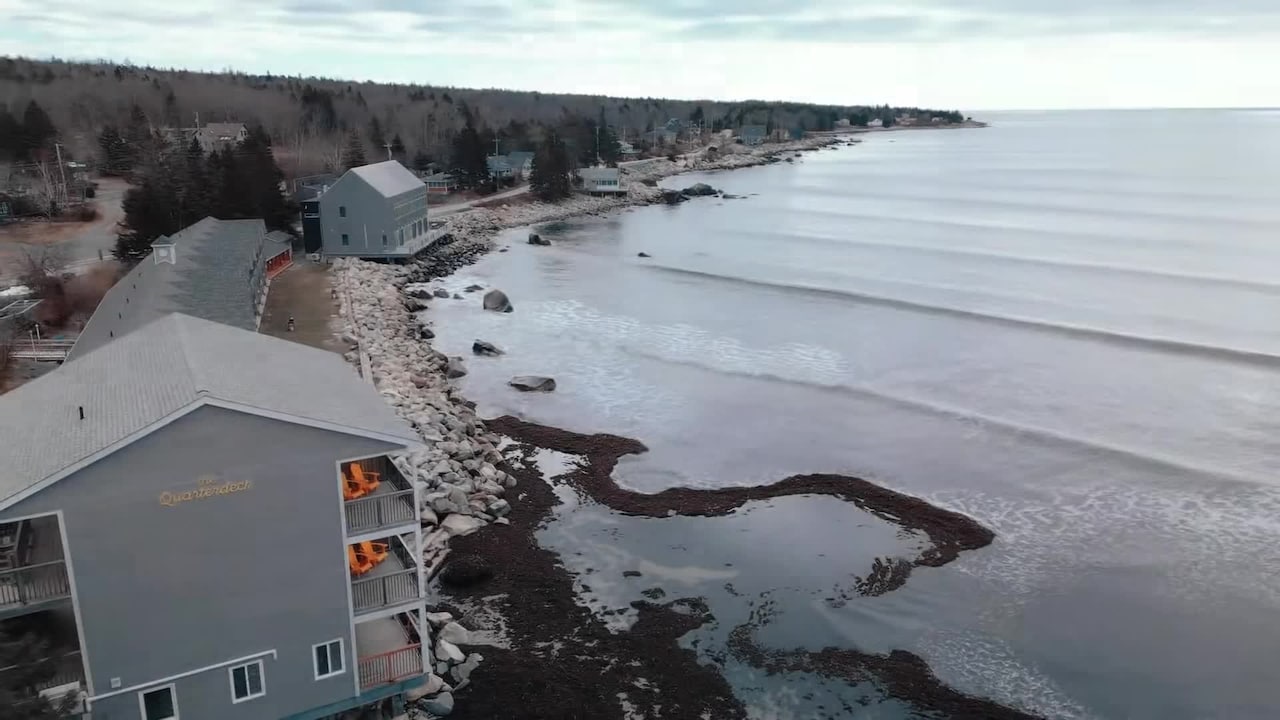 Property video