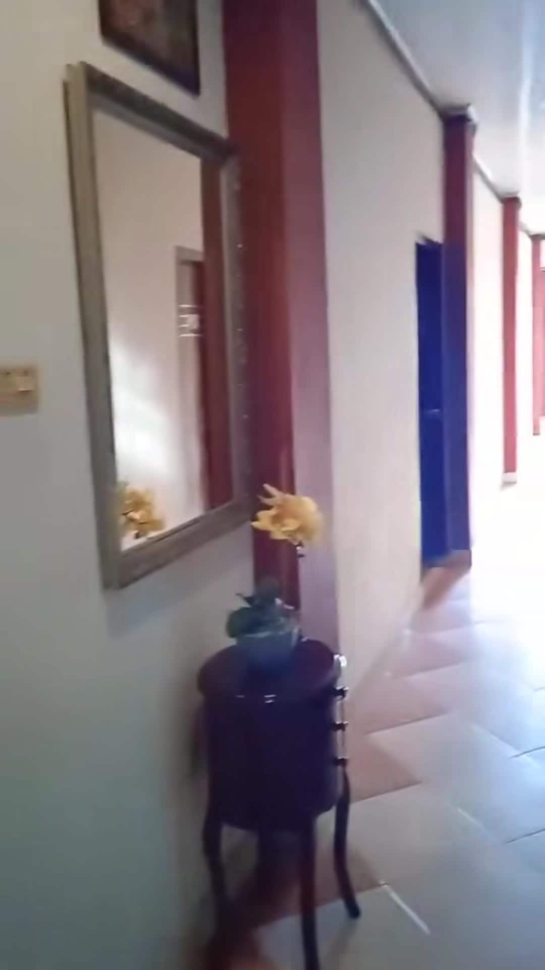 Video van accommodatie
