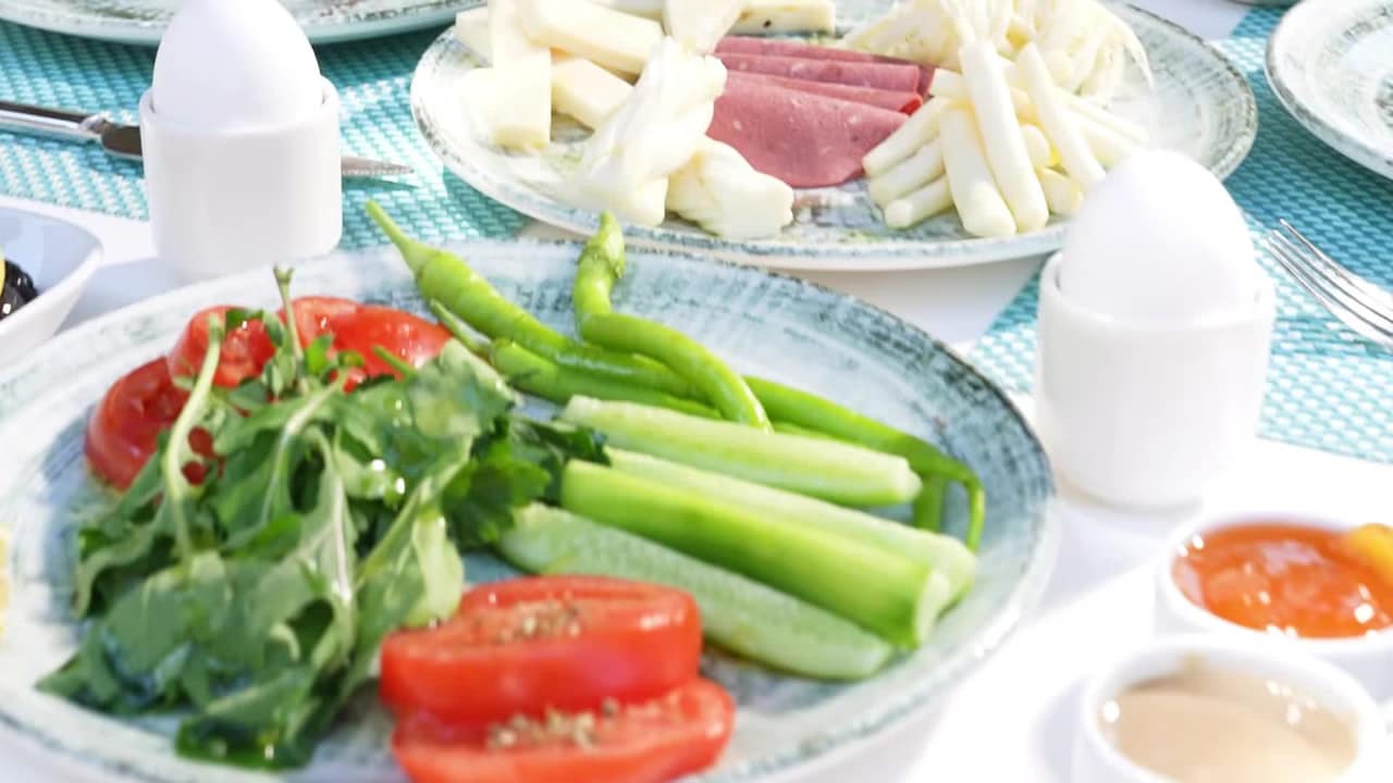 فيديو المنشأة الفندقية