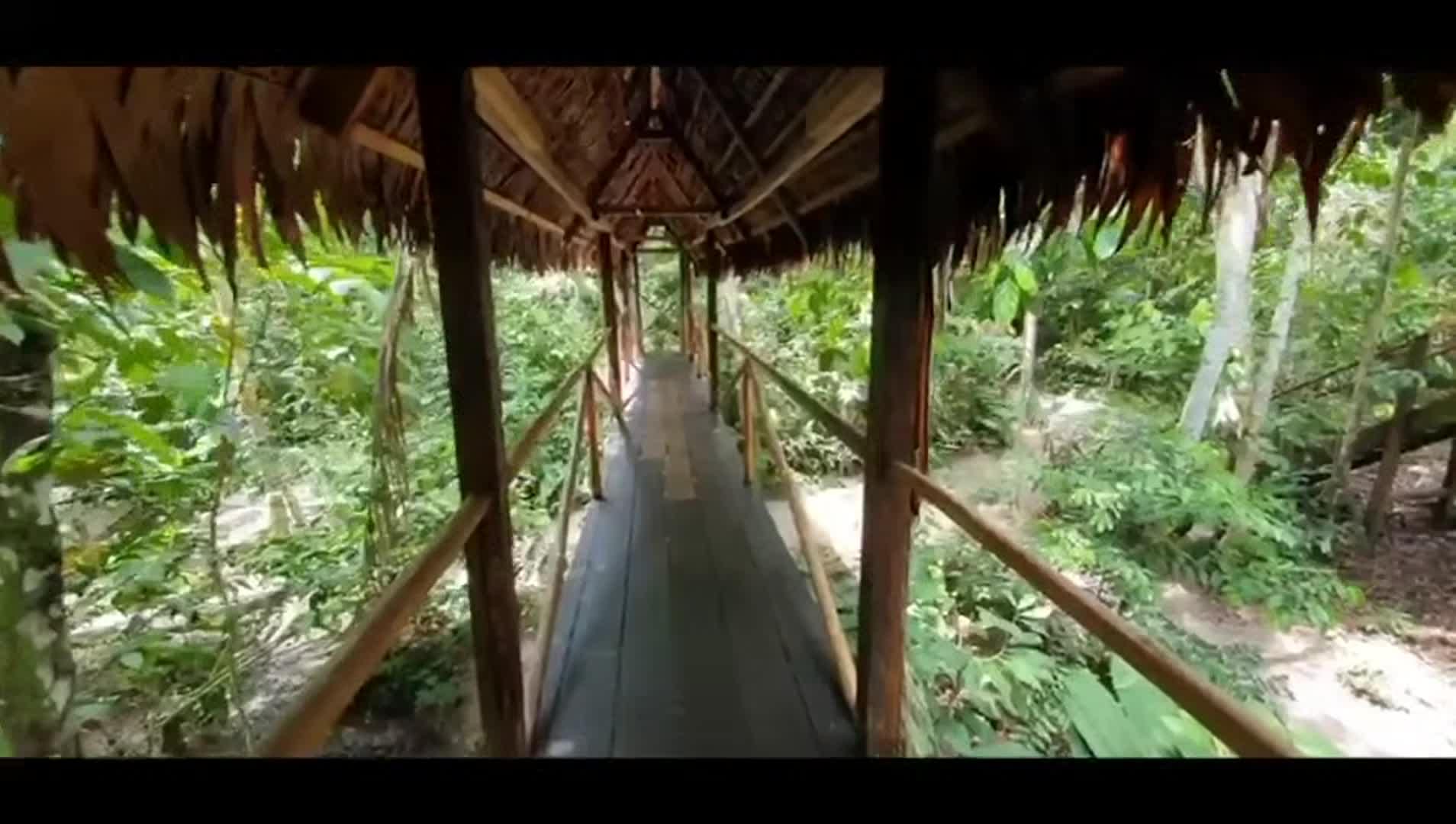 Video realizado por la propiedad