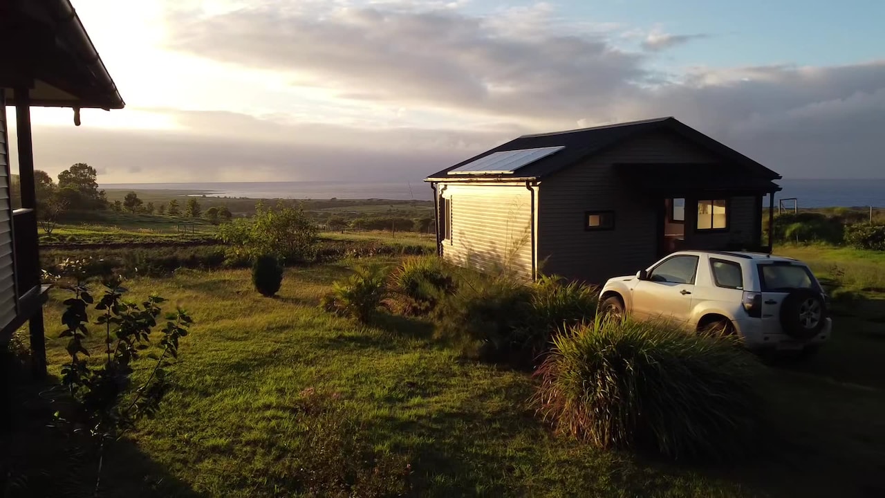 Property video