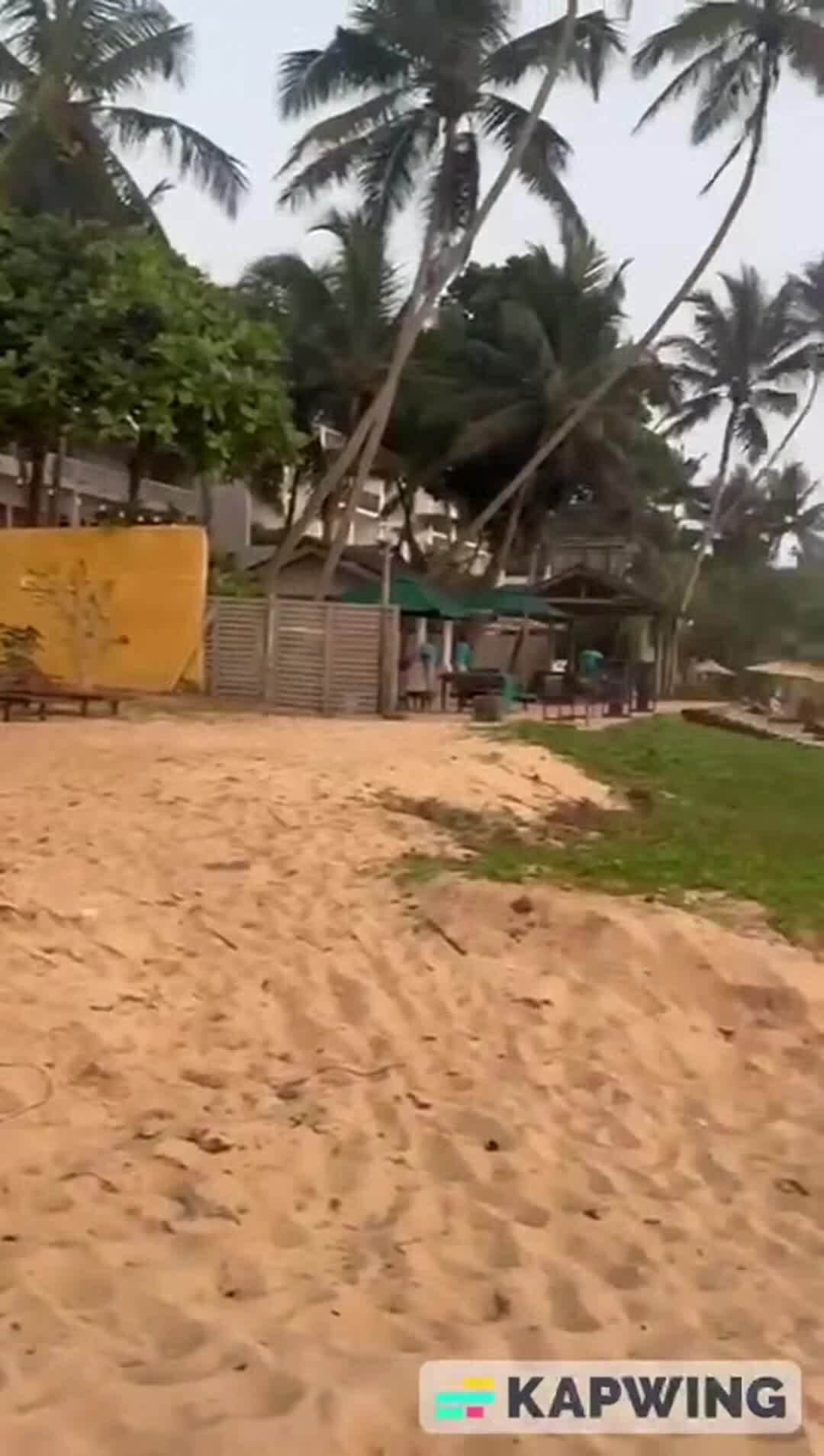 Video realizado por la propiedad