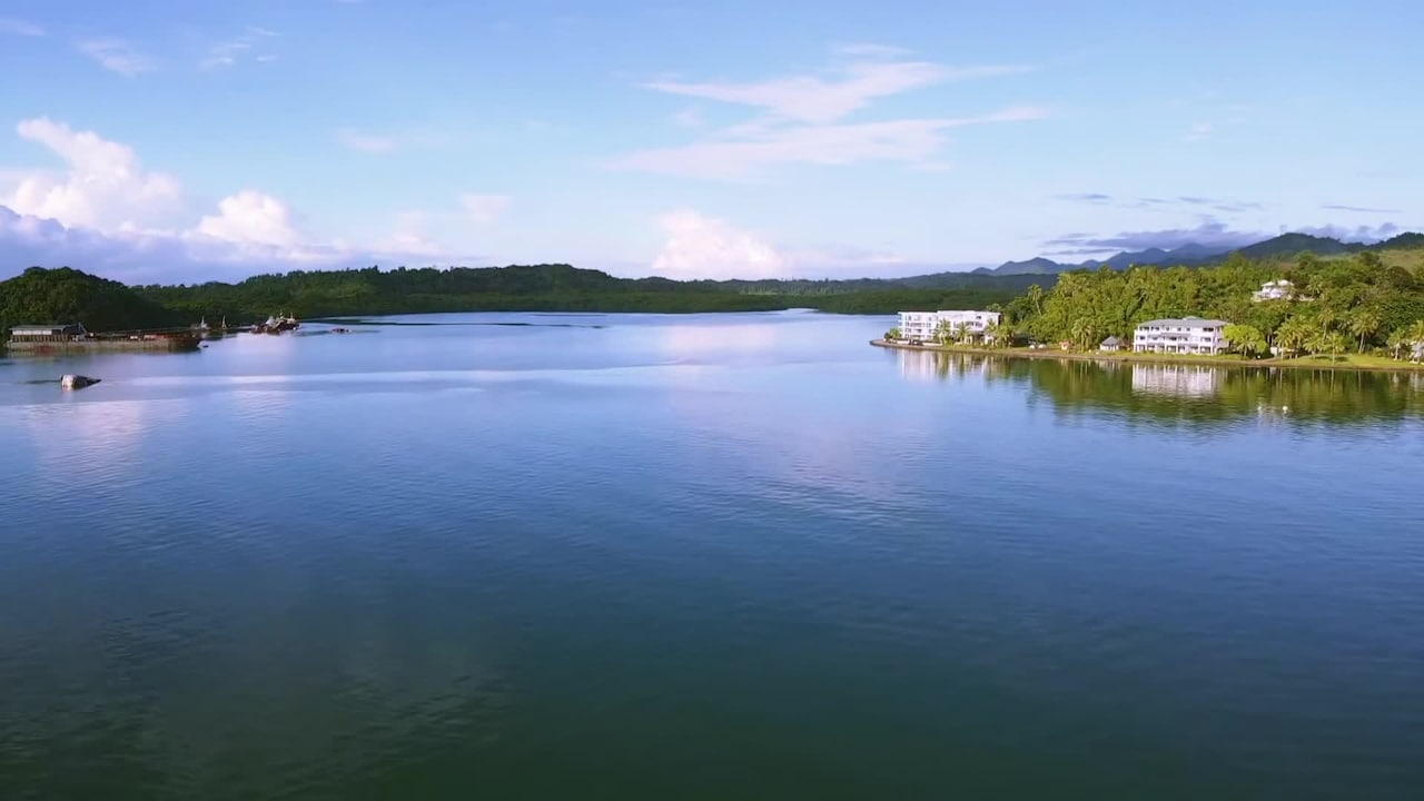 Video realizado por la propiedad