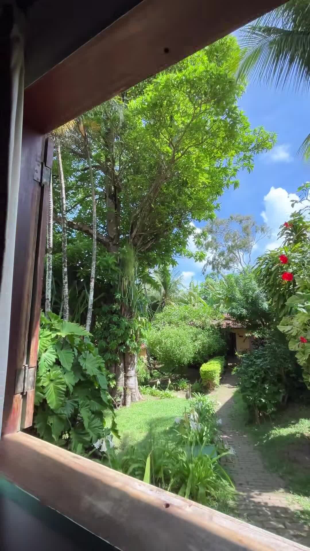 Property video