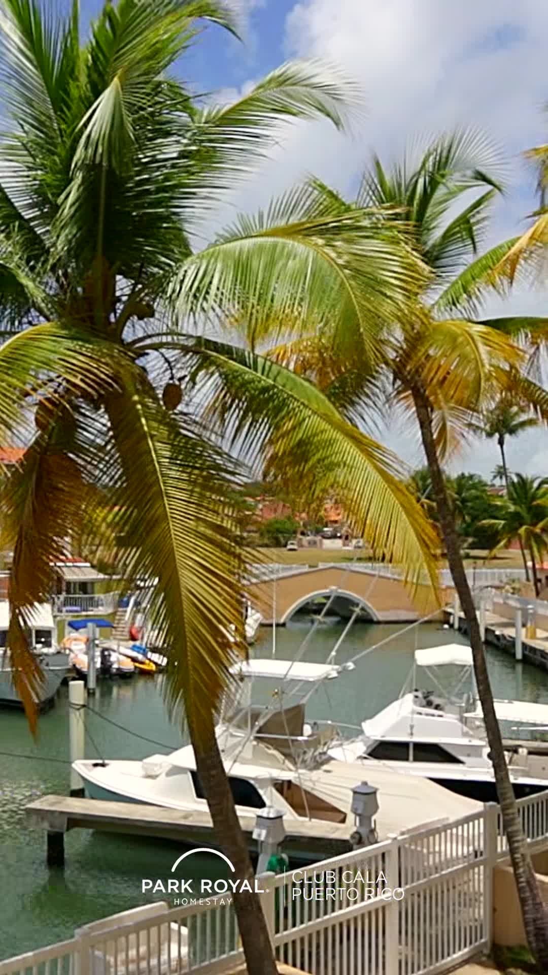 Property video