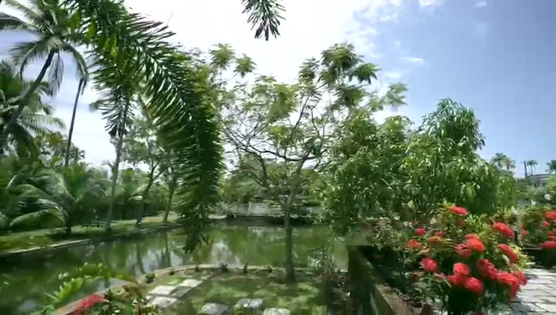 Video struttura