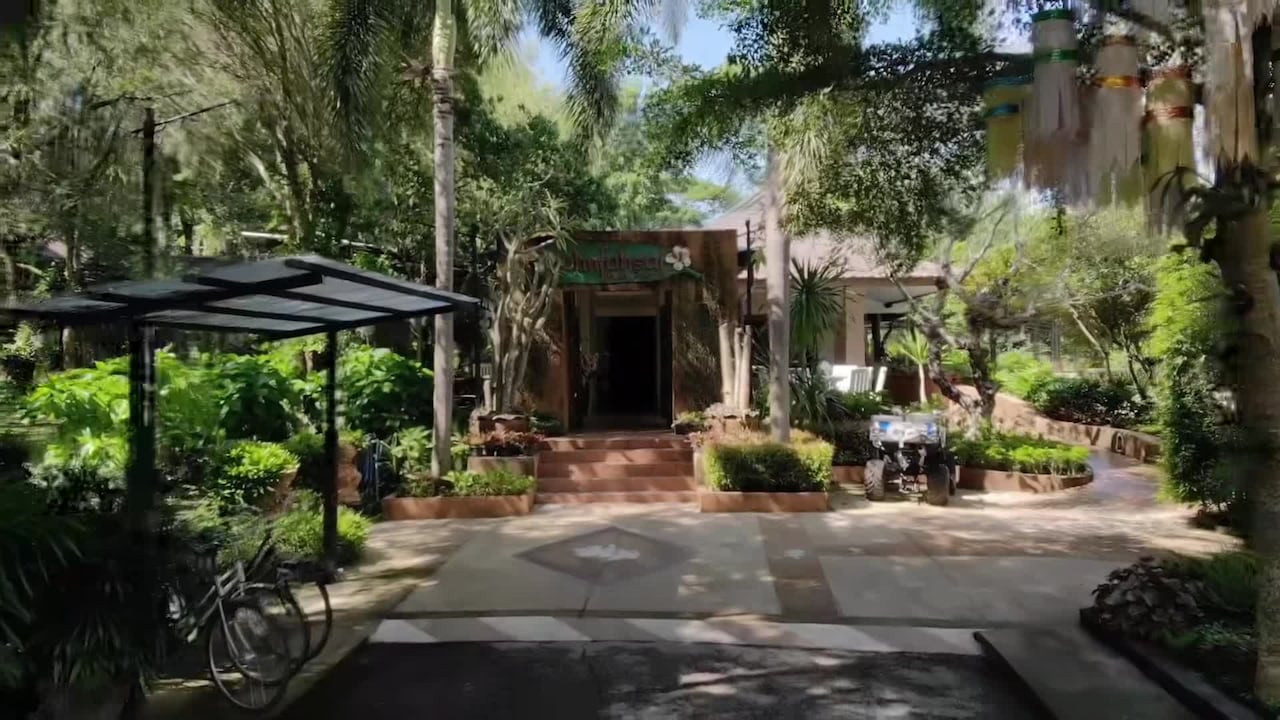 Property video