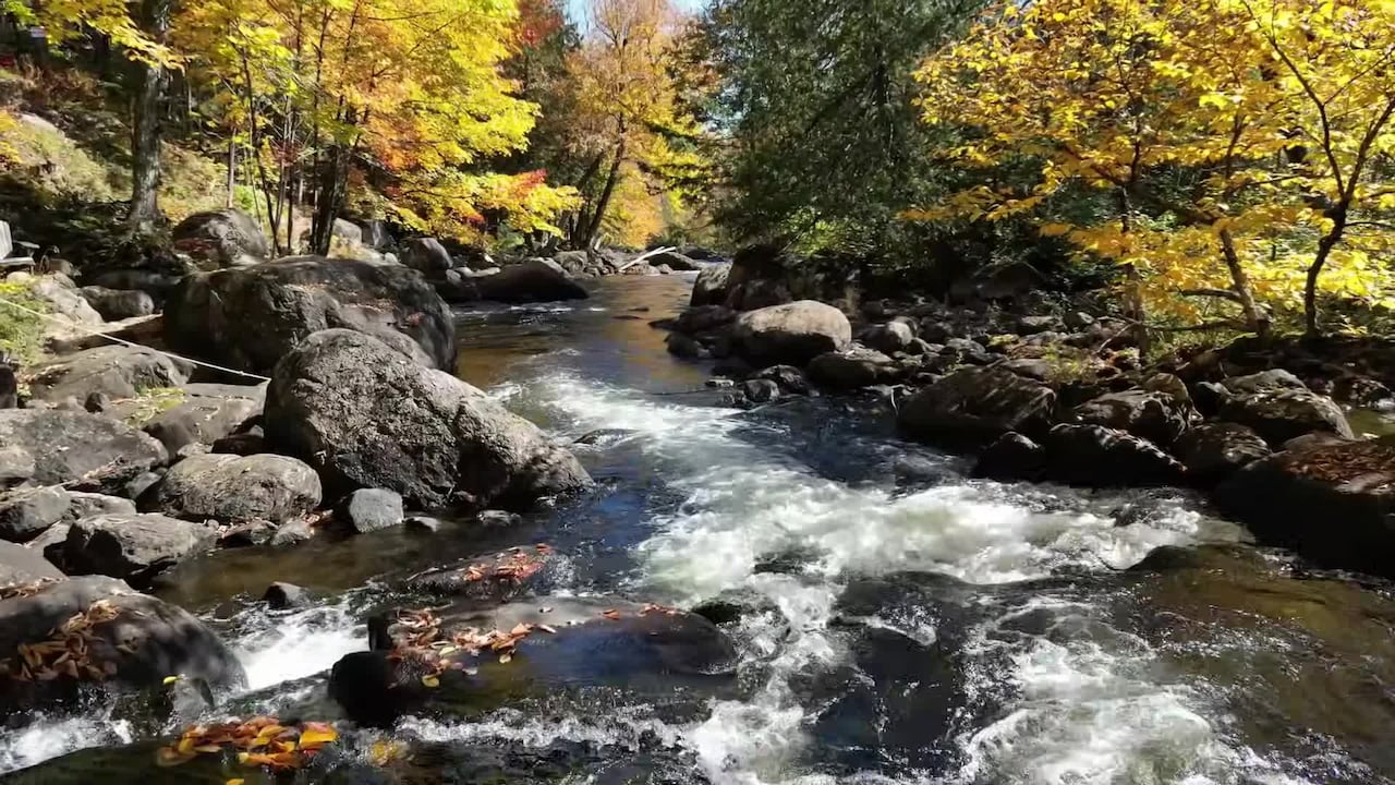 Property video