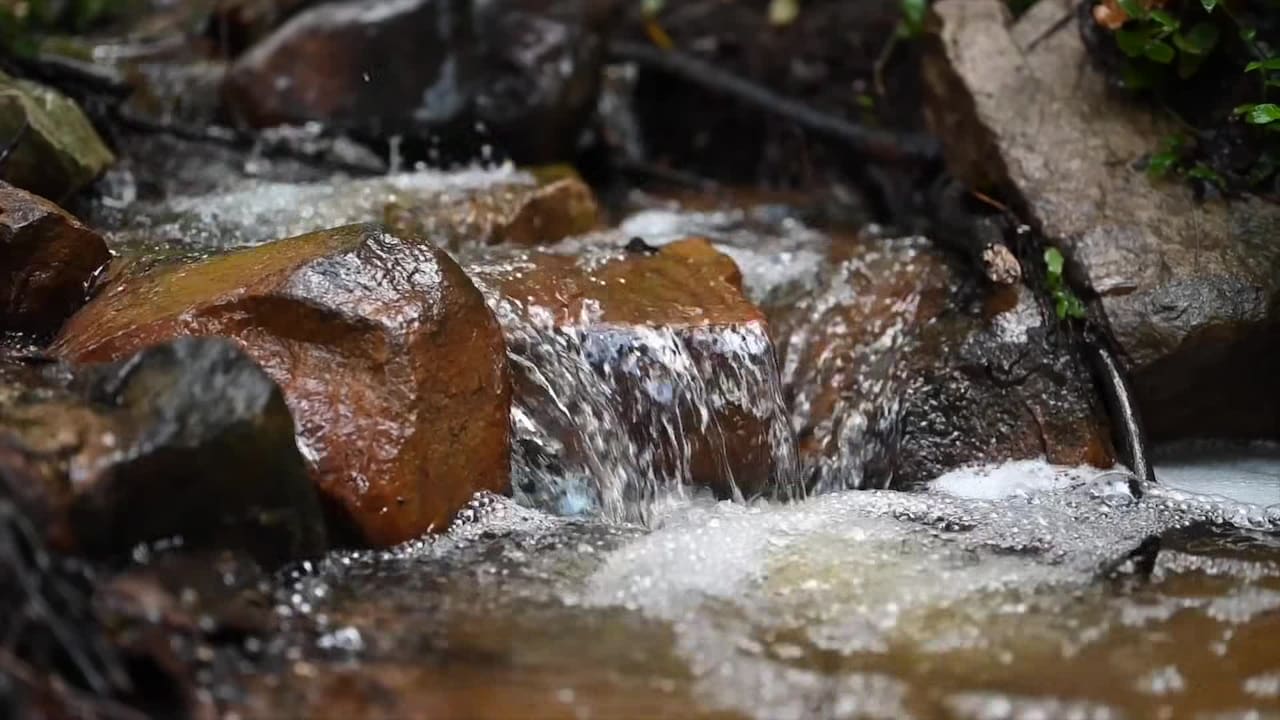 Vidéo de l’hébergement