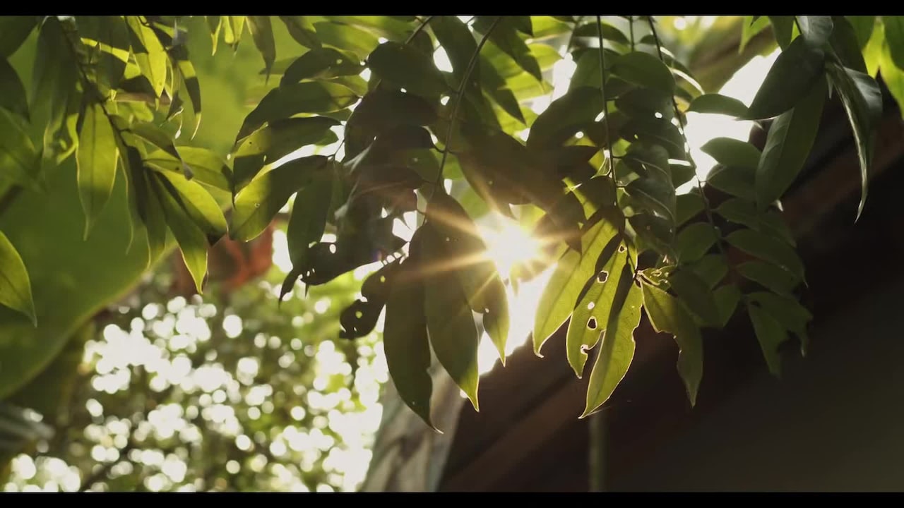 Vidéo de l’hébergement