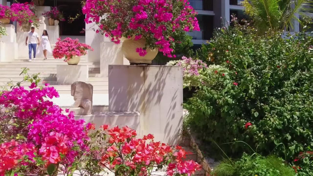 Property video
